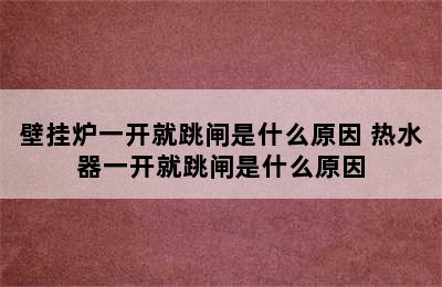 壁挂炉一开就跳闸是什么原因 热水器一开就跳闸是什么原因